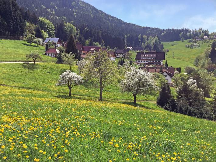 Hotel für 2 Personen, mit Terrasse und Garten sowie Sauna in Oppenau - 4