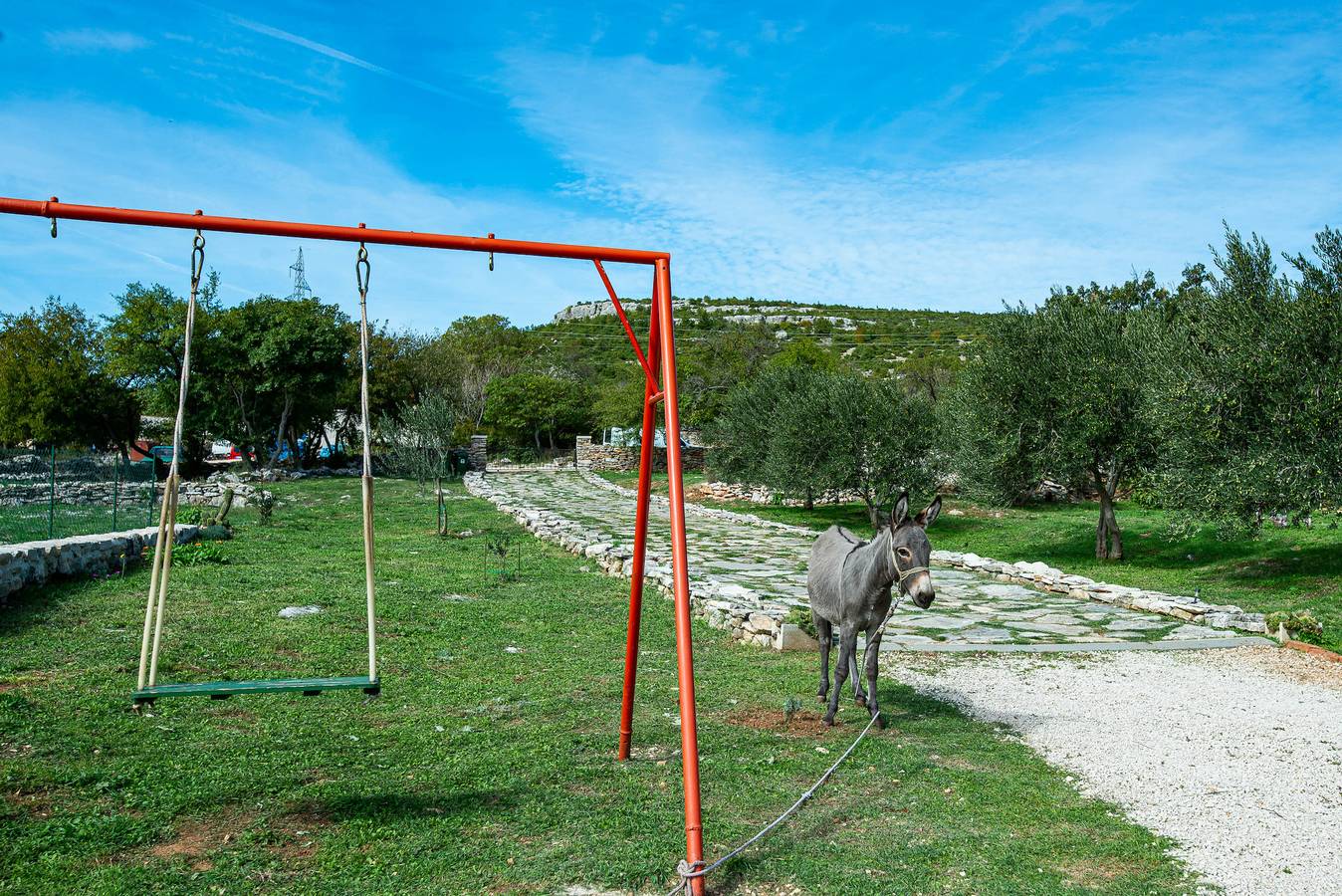 Country House Irena with pool in Grad Benkovac, Zadar