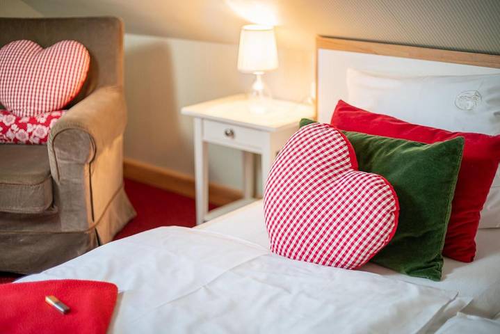Chambre d’hôte pour 4 personnes, avec Terrasse et Jardin dans Sarre - 4