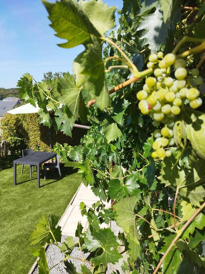 Location de vacances pour 4 personnes, avec Jacuzzi et Terrasse ainsi que Jardin et Vue à Rochefort (Wallonie) - 3