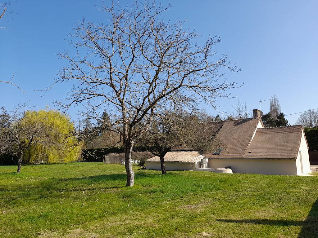 Gite du Saule in Cheverny, Sologne