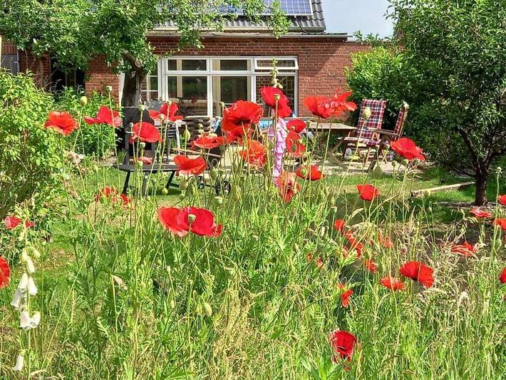Ferienhaus für 3 Personen, mit Terrasse und Garten - 1