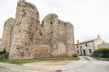 Gîte pour 8 personnes, avec terrasse et jardin à Les Châtelliers-Châteaumur