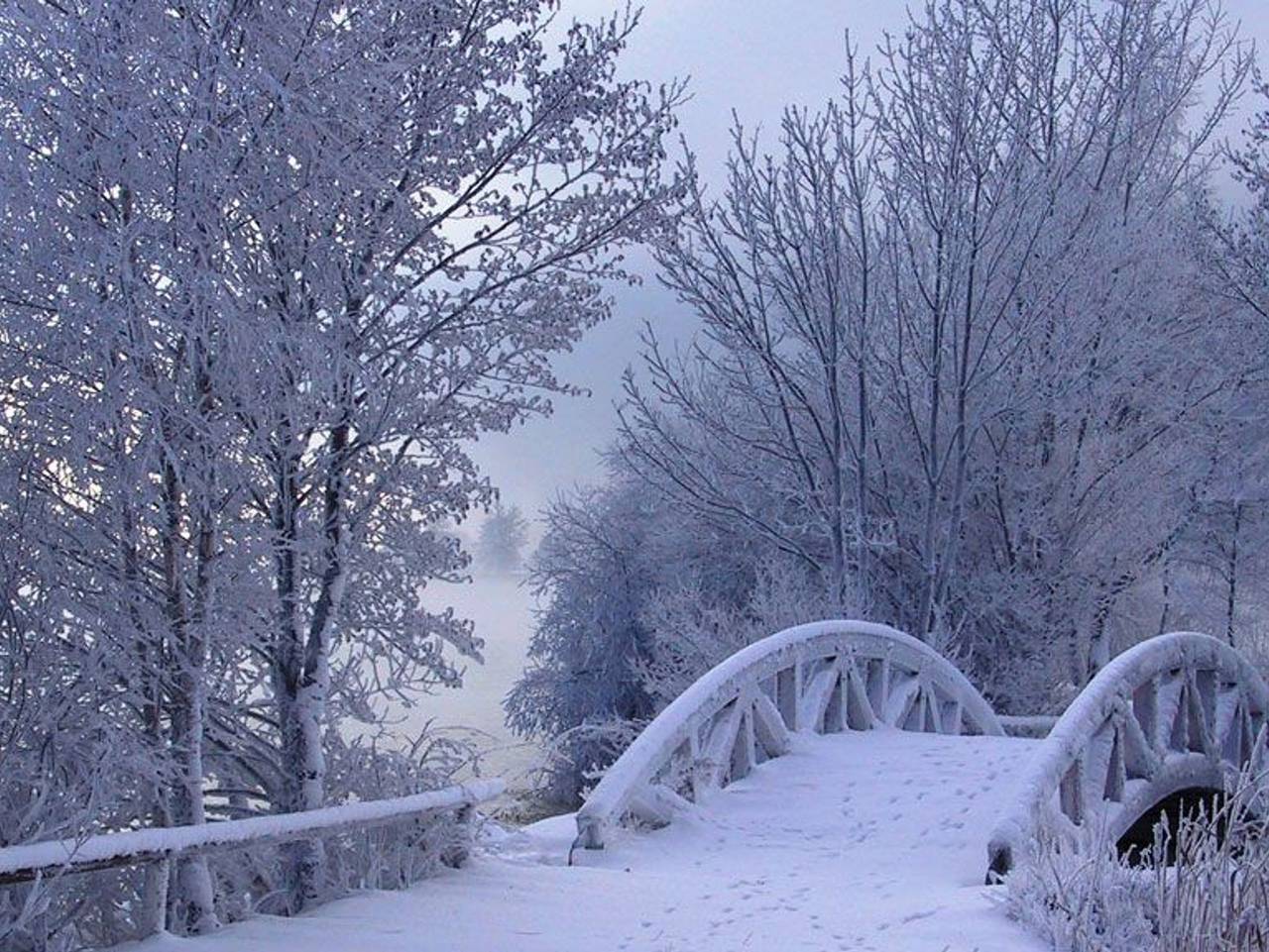 Ganze Ferienwohnung, Ferienwohnung Alpenseepark in Salzkammergut-Berge, Mondsee (Stadt)