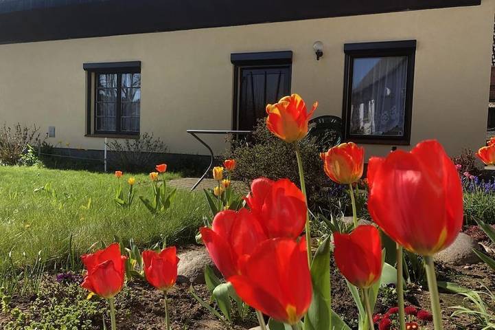 Ferienwohnung für 4 Personen, mit Terrasse - 1