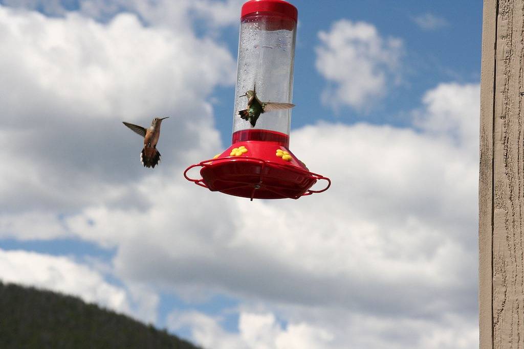 Ganze Wohnung, Gemütliche Wohnung - Blick auf die Berge und die Piste - In der Nähe von Liften - Tolle Angebote in Arapahoe Basin