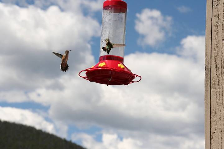 Ferienwohnung für 6 Personen, mit Terrasse - 1