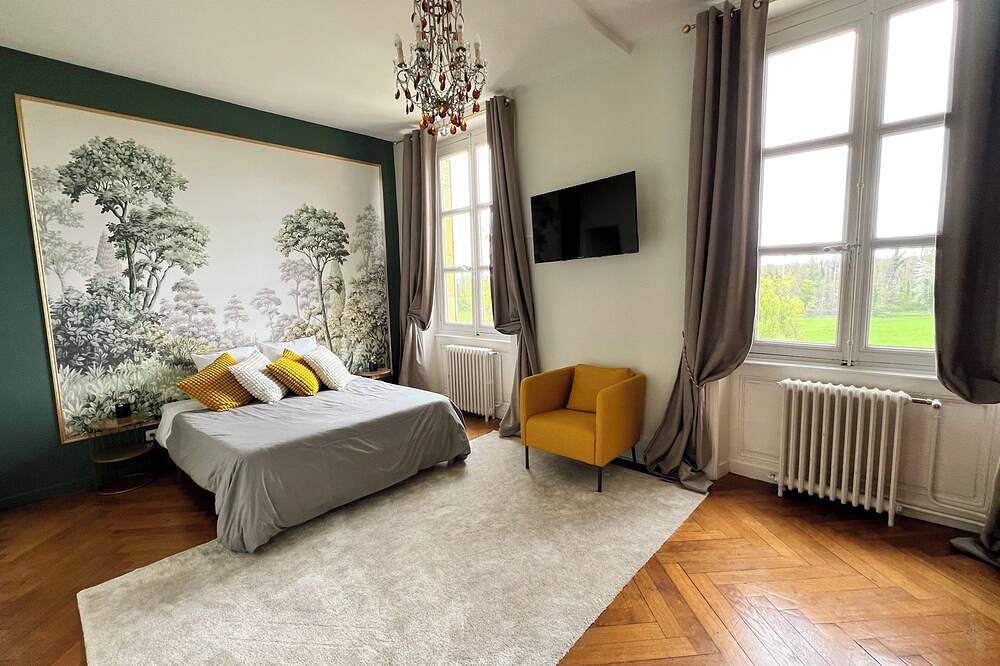 Christmas or New Year in a magnificent Château with accommodation for 35 people in Roanne, Región de Roanne