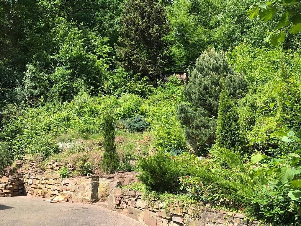 Nature Living - Ferienhaus mit Kamin - Feuerschale - Garten - mit beheizbarem Gartenwhirlpool in Melsungen, Schwalm-Eder-Kreis