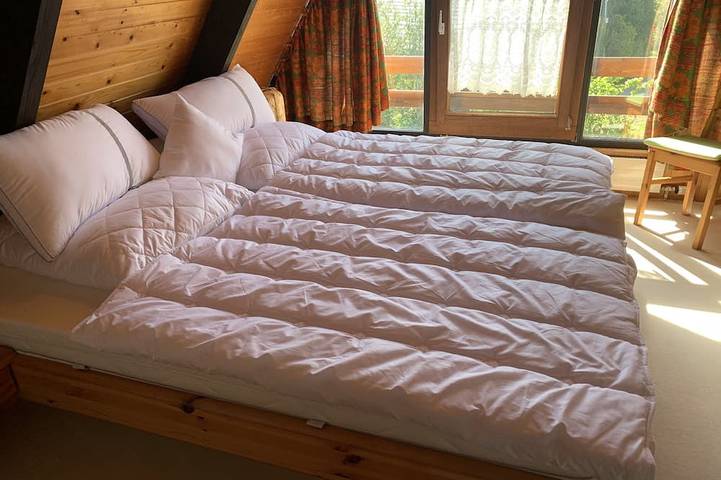 Location de vacances pour 4 personnes, avec terrasse et jardin, animaux acceptés à Schramberg - 2