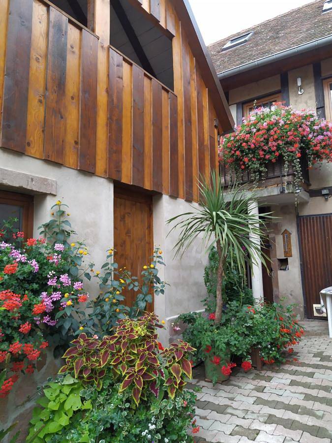 Gîte pour 6 personnes à Ottrott - 3