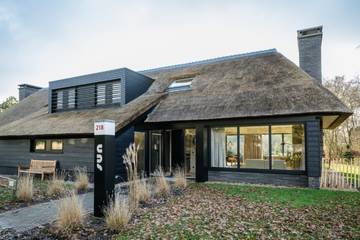 Strandhaus für 6 Personen, mit Garten und Sauna auf Ameland