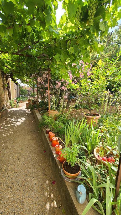 Chambre d’hôte pour 2 personnes, avec jardin et piscine à Argeliers - 2