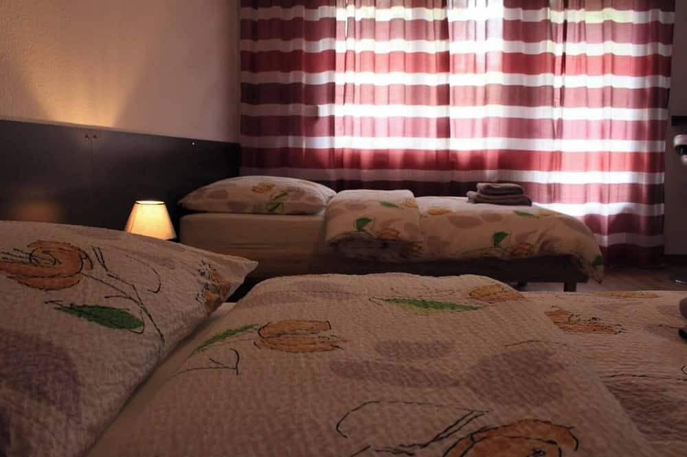 Entire apartment, Studio Near Basel Airport in Saint-Louis, Mulhouse region