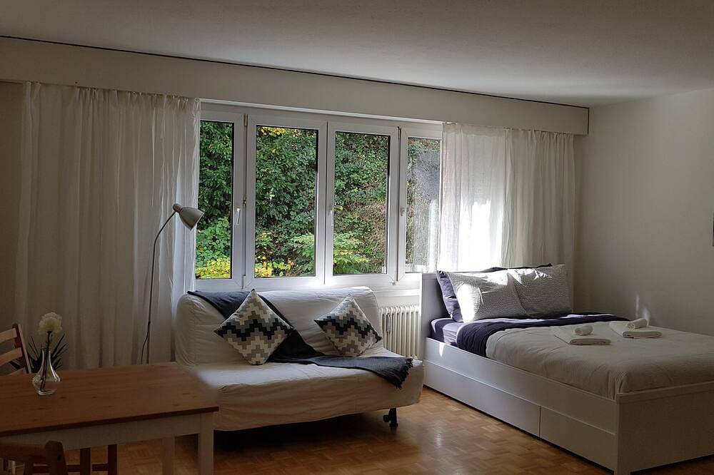 Ganze Wohnung, Budgetfreundliches Studio Typ Wohnung im Zentrum von Luzern in Luzern, Vierwaldstättersee