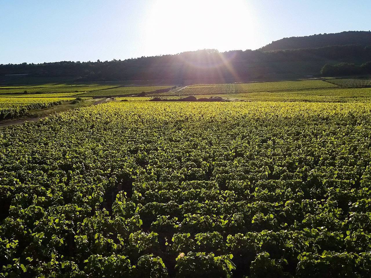 Villa pour 15 Personnes dans Puligny-Montrachet, Région de Beaune