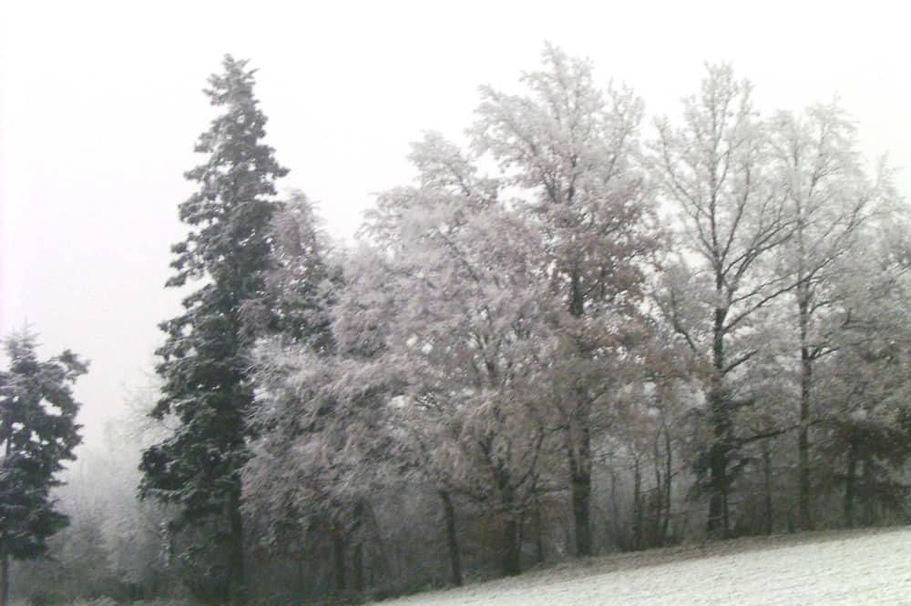 Geheel appartement, Appartement - Appartement in Haidach in Salzkammergut Mountains, Seewalchen am Attersee