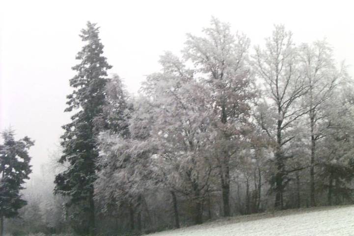 Ferienwohnung für 5 Personen, mit Terrasse und Garten sowie Sauna in Seewalchen am Attersee