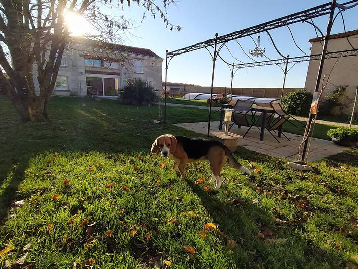 Chambre d’hôte pour 2 personnes, avec jardin et piscine, animaux acceptés en Nouvelle-Aquitaine - 2