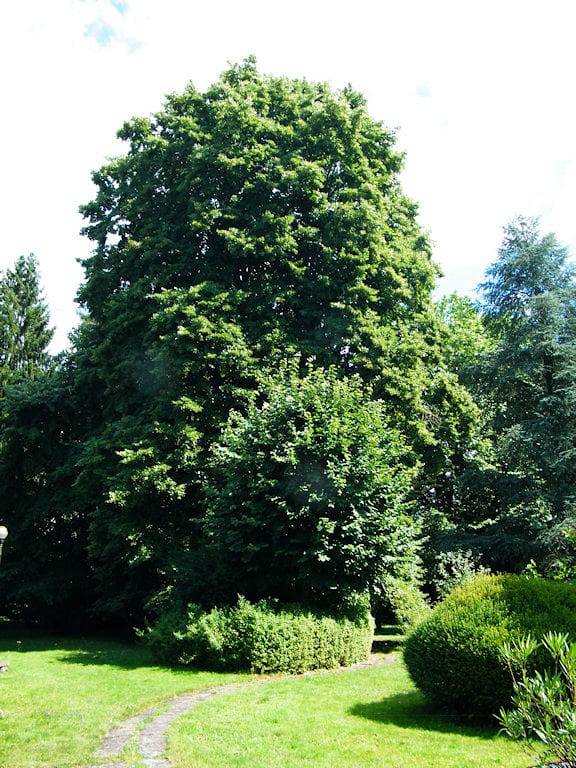 Chambre d’hôte pour 2 personnes, avec jardin dans Haute-Saône - 3