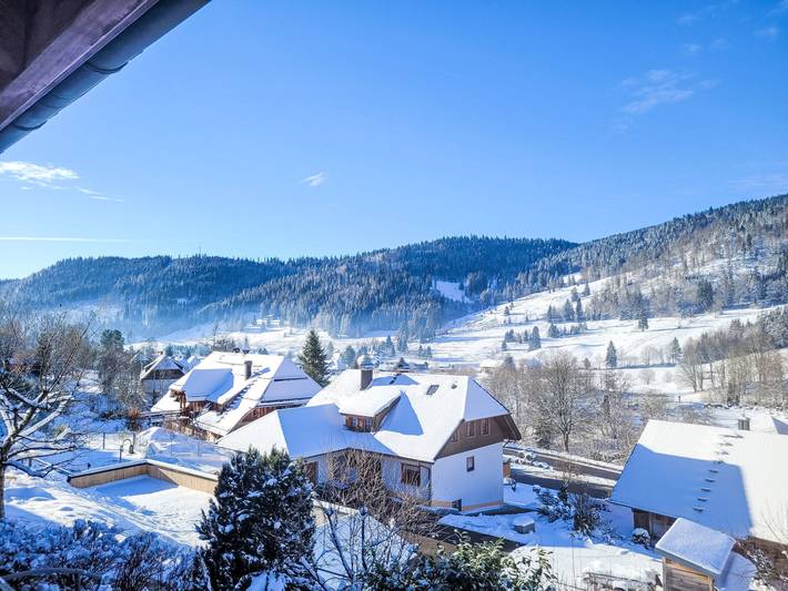 Ferienwohnung für 4 Personen, mit Garten in Menzenschwand