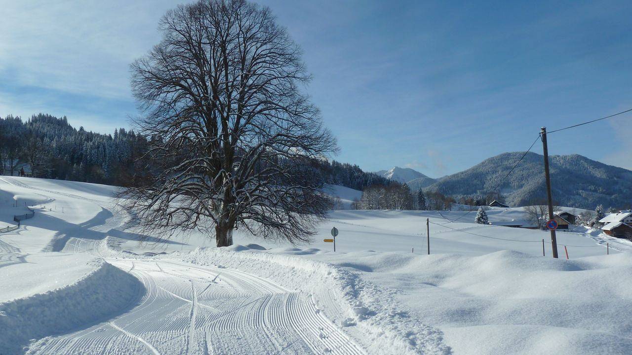 Ganze Ferienwohnung, Ferienwohnung für 4 Personen (55 m²) in Bad Kohlgrub in Bad Kohlgrub, Bayerische Alpen