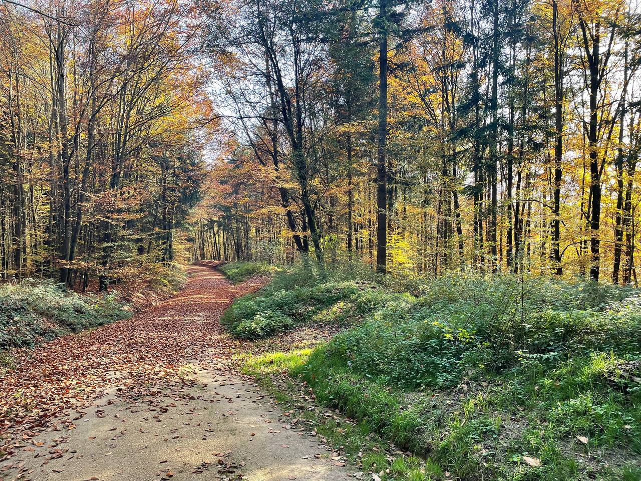 Fewo Hoellbach - Ferienwohnung in Wiesent, Ostbayern
