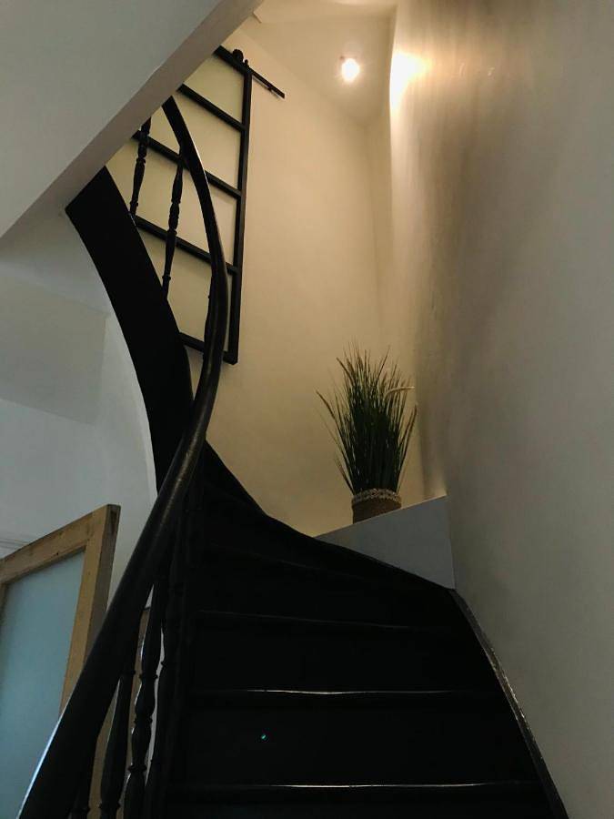 Location de vacances pour 4 personnes, avec terrasse à Renaix - 2