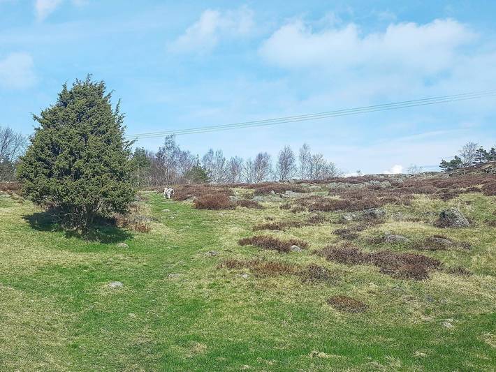 Ferienhaus für 4 Personen, mit Terrasse, kinderfreundlich in Bohuslän - 4
