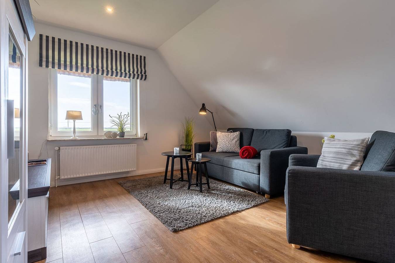 Ganze Wohnung, Top ausgestattete Reetdachferienwohnung im Weitblick kurz vor Spo in Tümlauer Koog, Eiderstedt