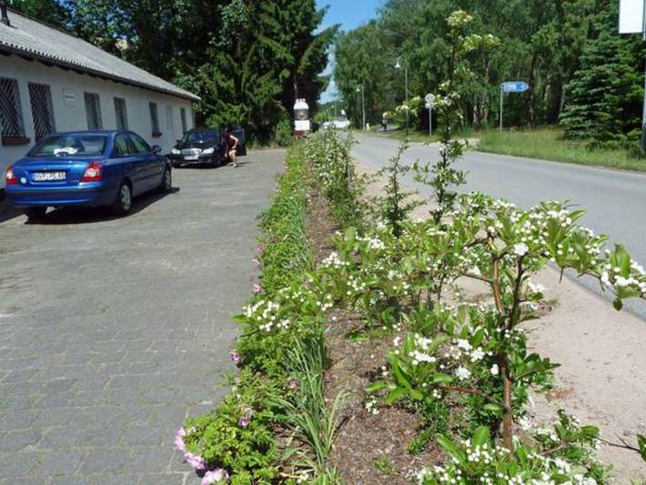 Ganze Ferienwohnung, Radlerhaus Prora - Ferienwohnung  1 , 1 - 2 Personen in Prora, Binz