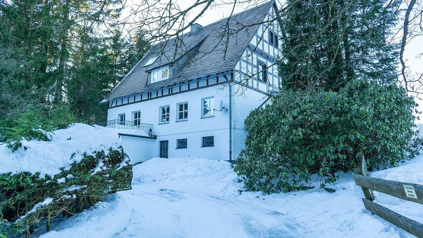 Chalet voor 12 personen, with zwembad and tuin as well as balkon in Winterberg