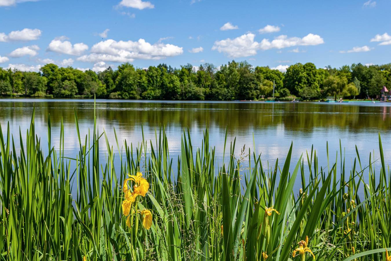 Ganze Wohnung, Premium Appartement direkt 'Am Stadtsee' mit Seeblick in Bad Waldsee, Region Bodensee-Oberschwaben