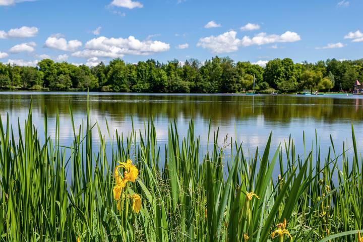 Geheel appartement, Premium appartement direct aan de Stadtsee met uitzicht op het meer in Bad Waldsee, Region Bodensee-Oberschwaben