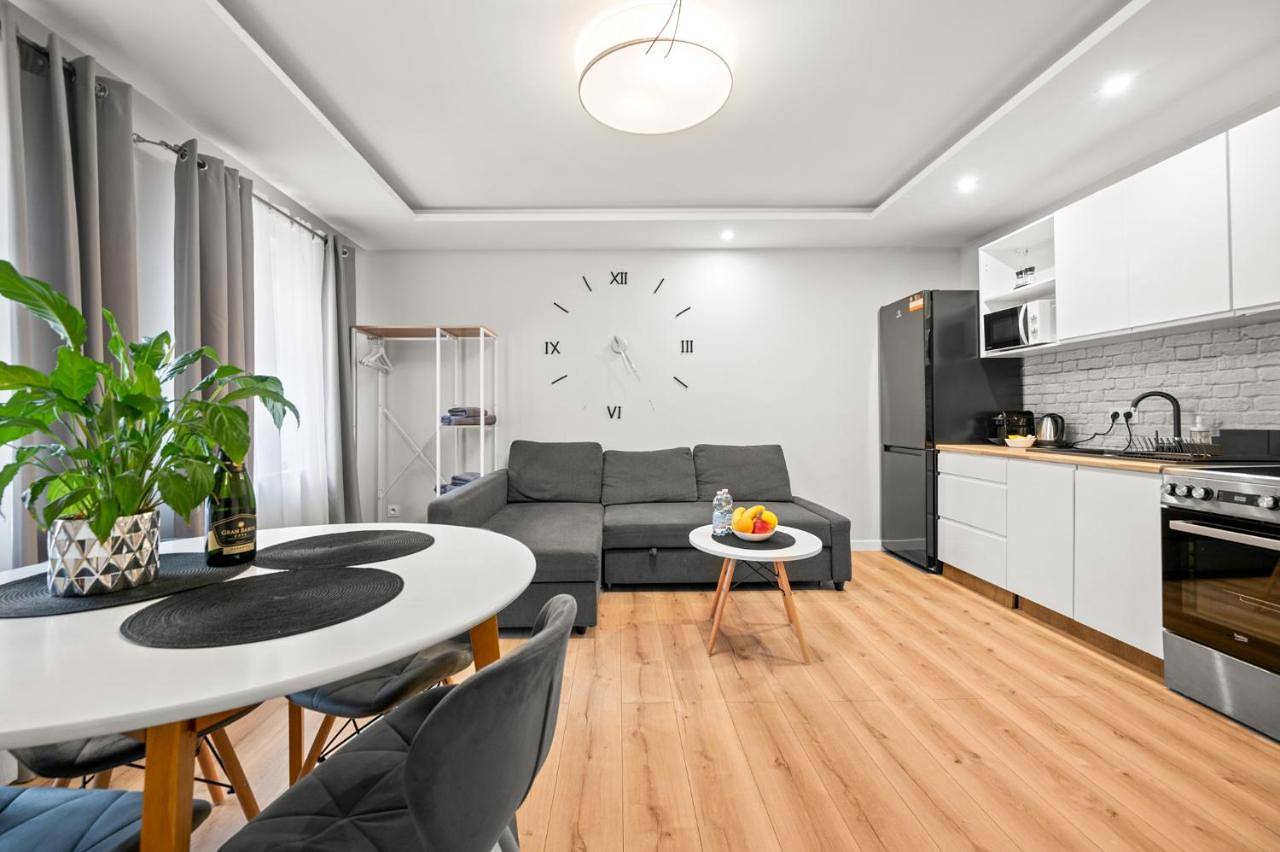 Cały apartament, Central Platinum Apartments 14 in Rybnik, Śląsk