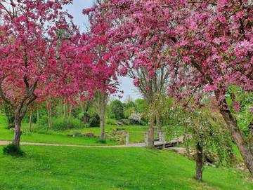 Ferienwohnung für 2 Personen in Bad Zwesten, Hessisches Bergland, Bild 4