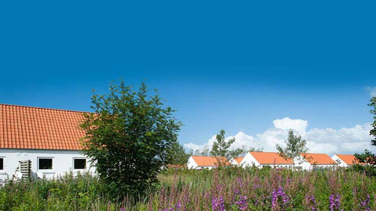 Ferienhaus für 5 Personen (72 m²) in Skagen in Skagen, Nordostjütland