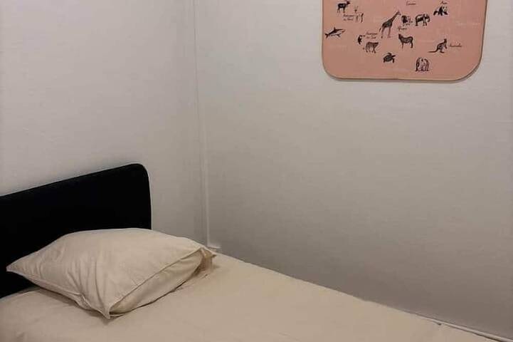 Ganze Wohnung, Le Parisien - cœur de st-brieuc in Saint-Brieuc, Côte de Goëlo