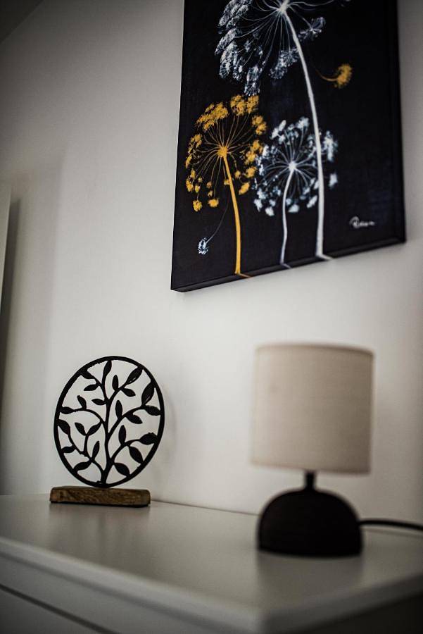 Appartement entier, Apartman Spaß in Шабац, Mačva (district)