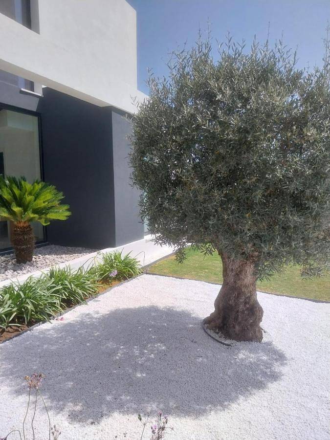 Chalet para 8 personas, con vistas además de piscina y jardín, Familias con niños en Campo de Gibraltar - 2