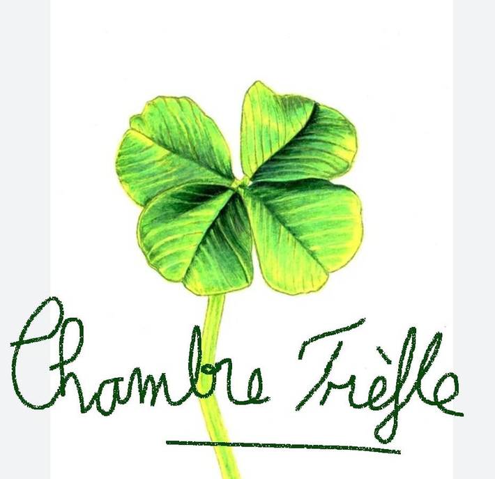 Chambre d’hôte pour 2 personnes, avec piscine ainsi que jardin et vue en Haute-Savoie - 3