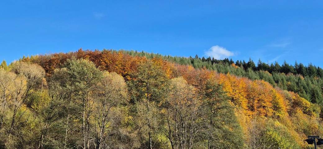 Gîte pour 4 personnes, avec jardin et vue à Grandfontaine (Bas-Rhin) - 2