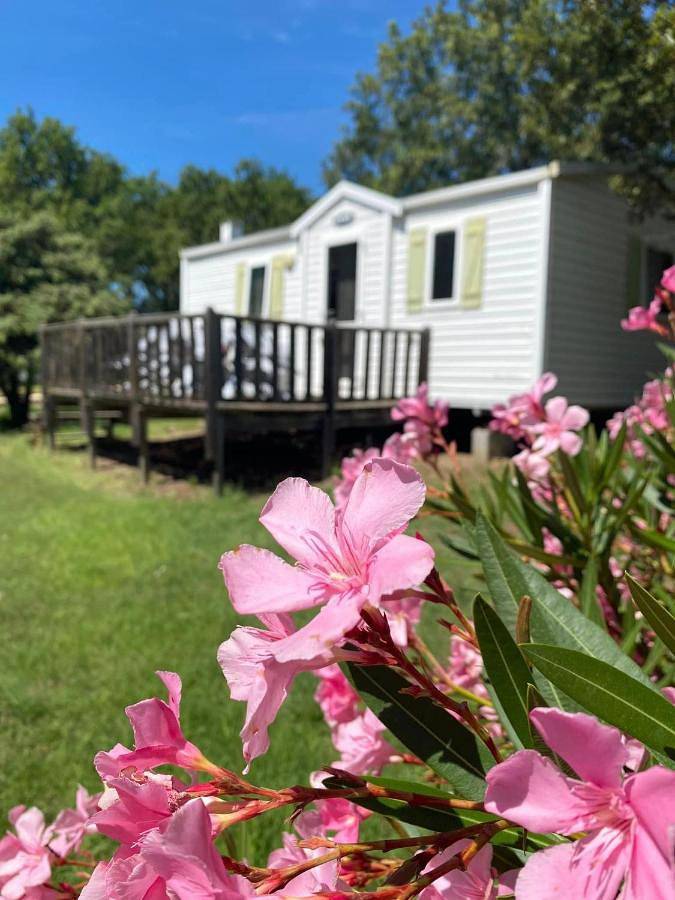 Location de vacances pour 6 personnes, avec vue ainsi que jardin et piscine, animaux acceptés à Mirabel - 4