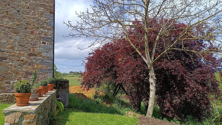 Alojamiento y desayuno para 2 personas, con jardín - 1
