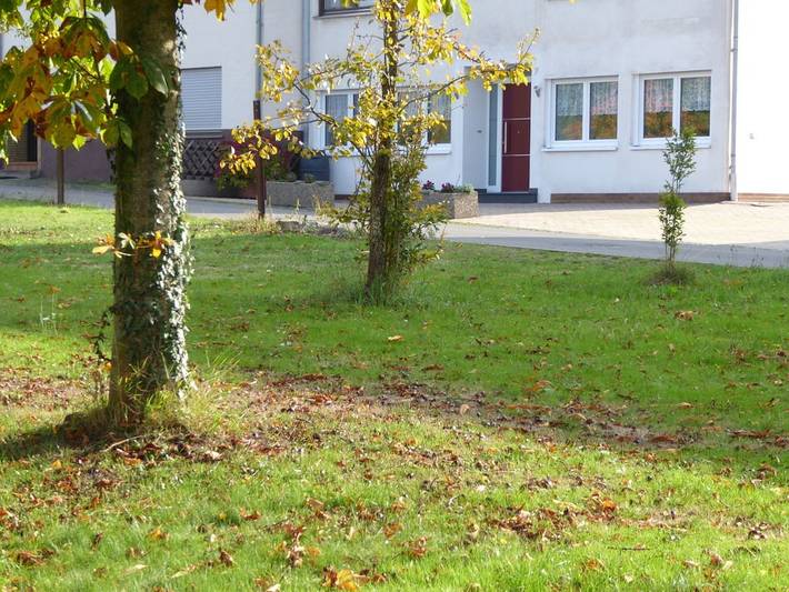 Ferienhaus für 4 Personen, mit Terrasse in Bernkastel-Kues - 4