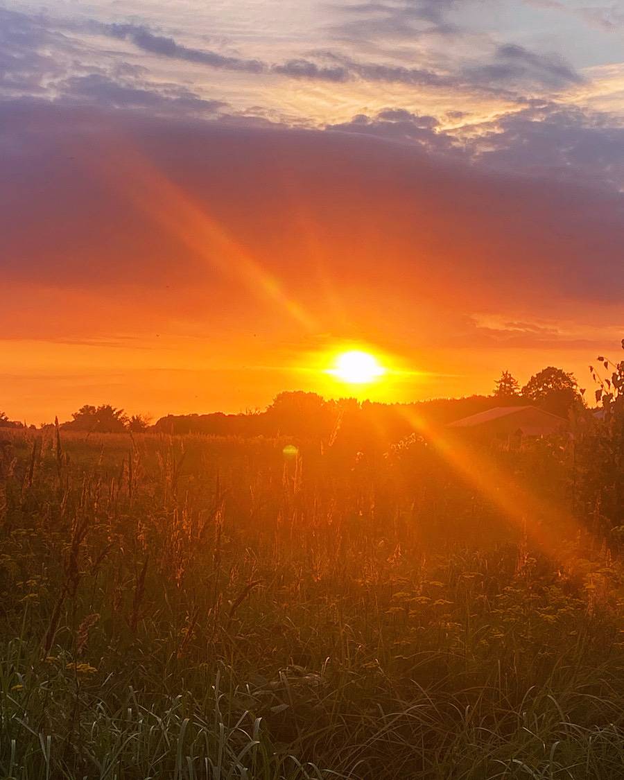Ganze Ferienwohnung, Ferienwohnung Schwalbennest in Dreschvitz, Rügen
