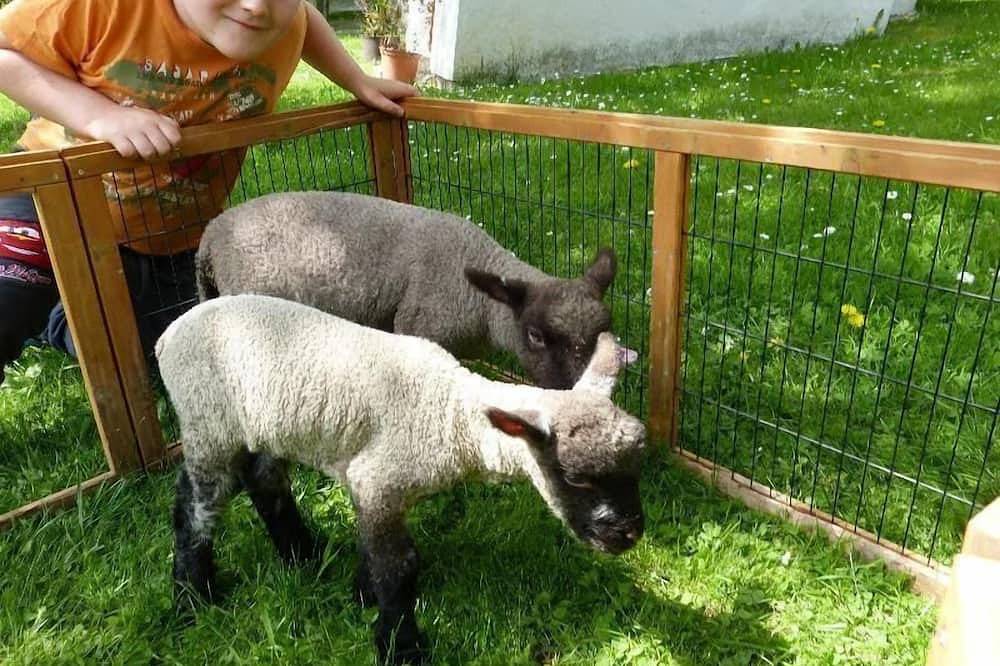 Ganze Wohnung, Ferien am Bauernhof, Wohnung 3 in Rangersdorf, Bezirk Spittal an der Drau