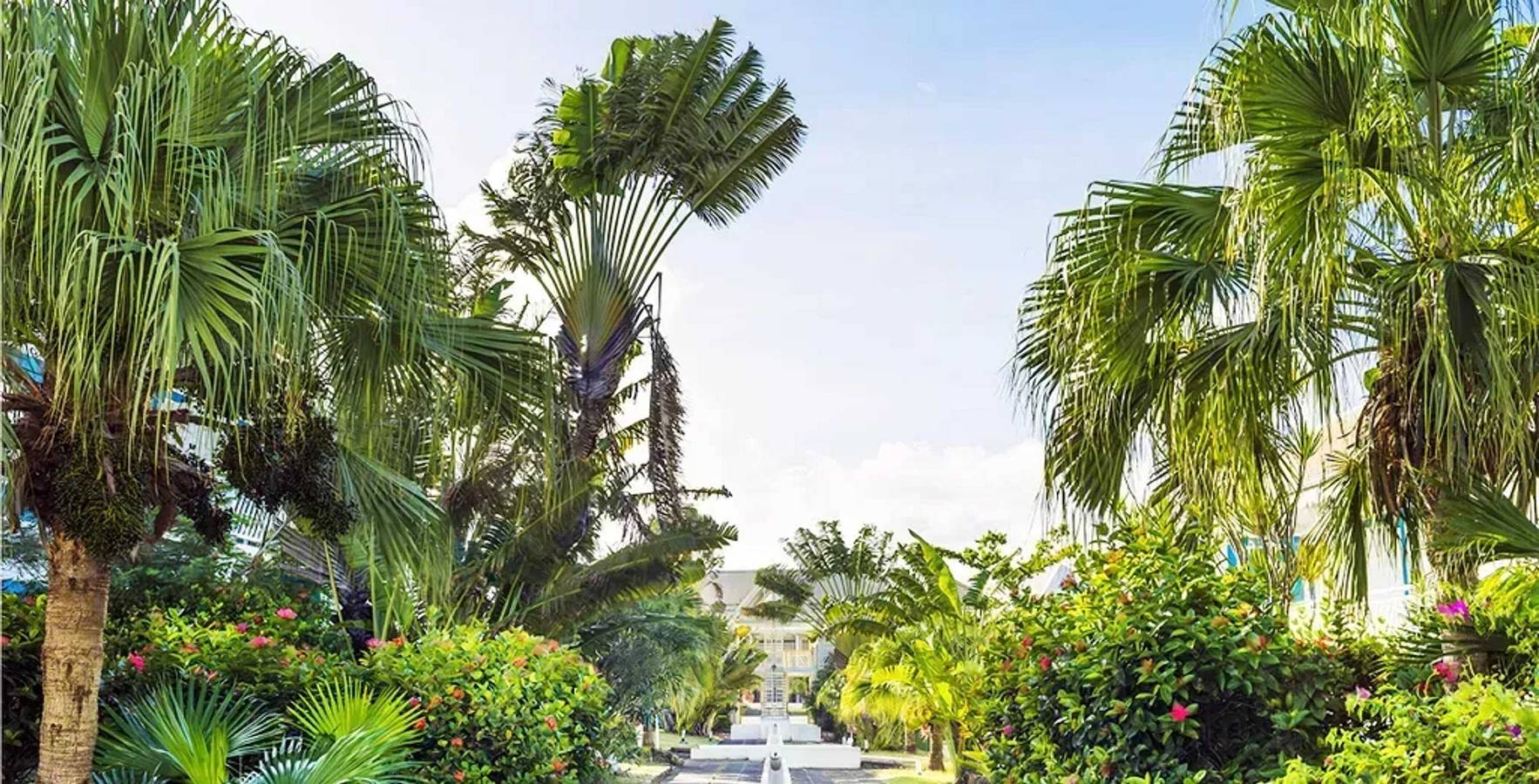 Estudio entero, Estudio encantador con piscina en Saint-François - 25 m² in Saint-François, Guadalupe