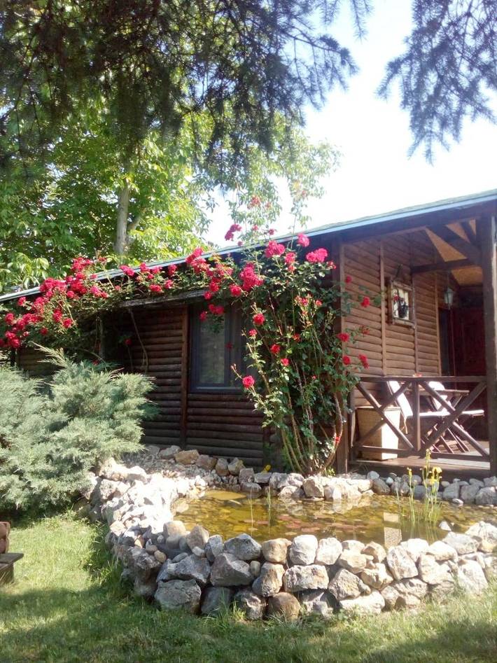 Domek letniskowy dla 4 osób, z widok i ogród, zwierzęta dozwolone w Serbia