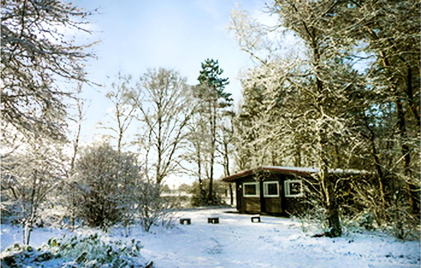 Ferienhaus für 6 Personen mit Terrasse in Drenthe